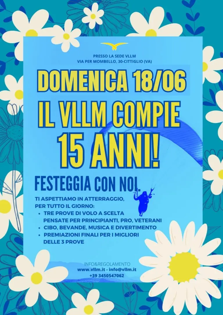 Locandina festa 15 anni